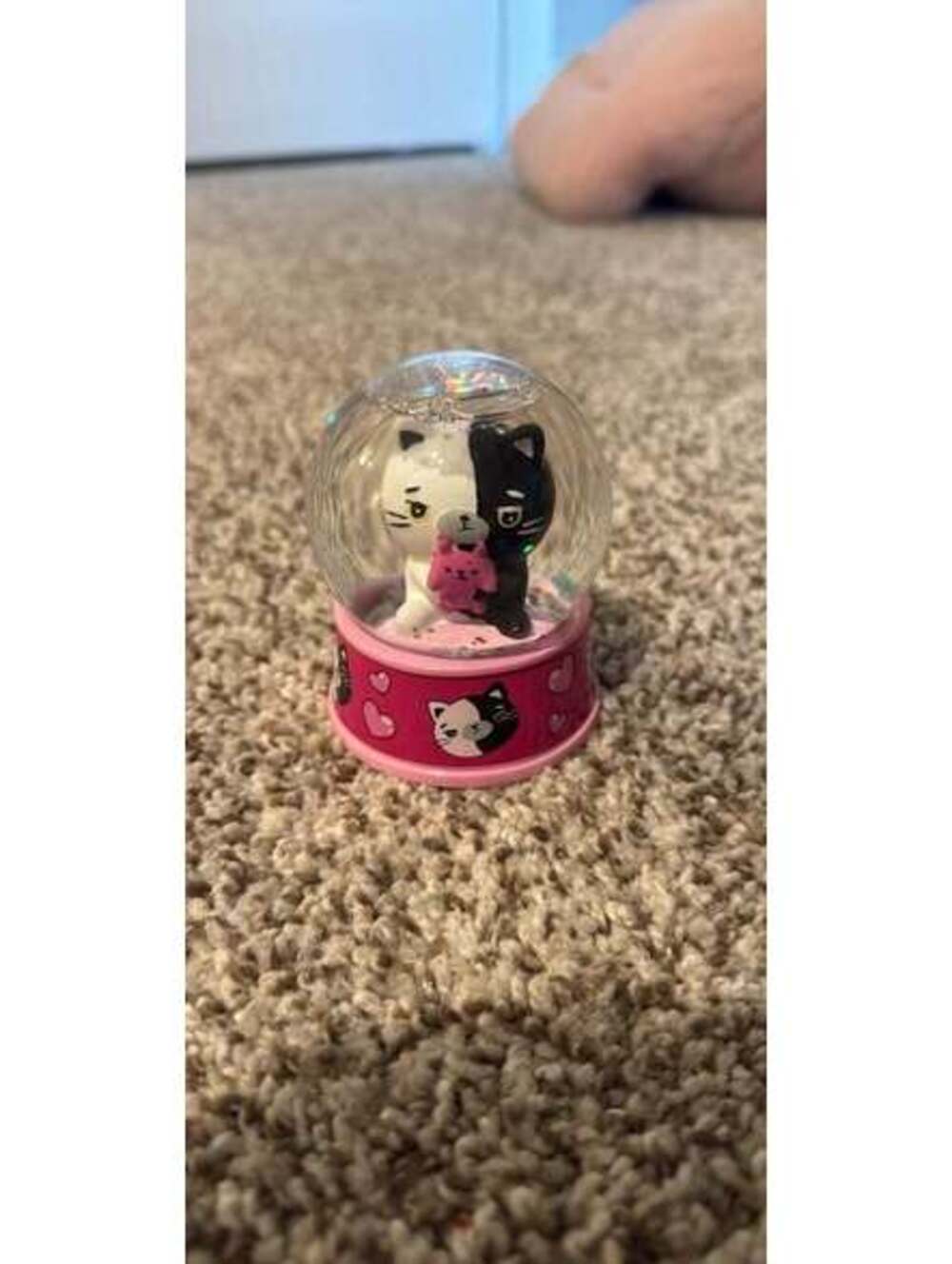Small cat snow globe